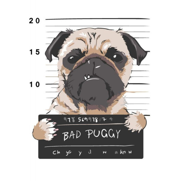 

Картина по номерам. Rosa „Bad Puggy“ 35х45см N00013215