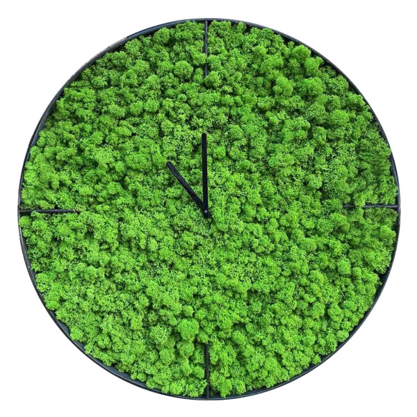 

Настенные часы из мха SO Green Соу Грин металлические 40 см (00742)