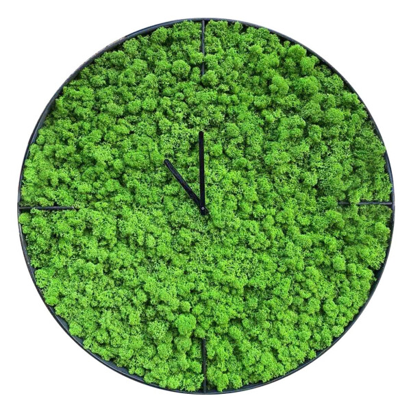 Акція на Настенные часы из мха SO Green Соу Грин металлические 50 см (00752) від Allo UA