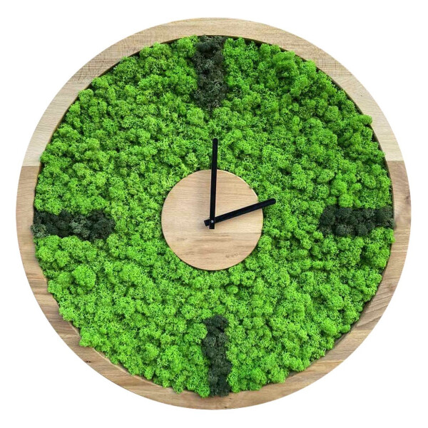 

Настенные часы из мха SO Green Соу Грин деревянные с отметками 30 см (00731)