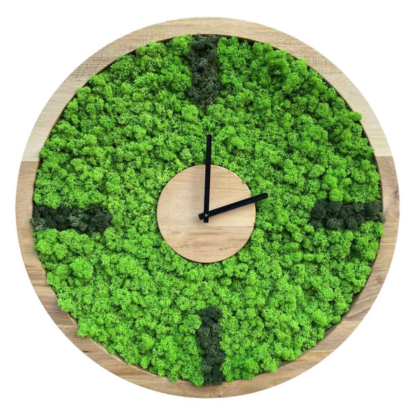 Акция на Настенные часы из мха SO Green Соу Грин деревянные с отметками 40 см (00741) от Allo UA