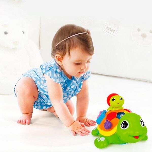 

Іграшка Hola Toys Черепашки (868)