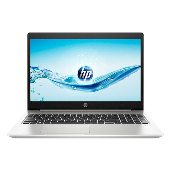 

HP ProBook 450 G6 (4SZ45AV_V22)