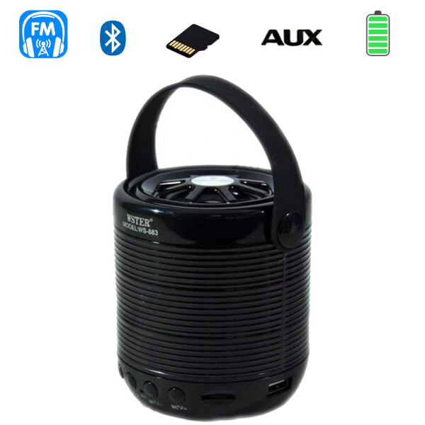 

Портативная колонка Bluetooth WSTER WS-883 BT влагостойкая Черный