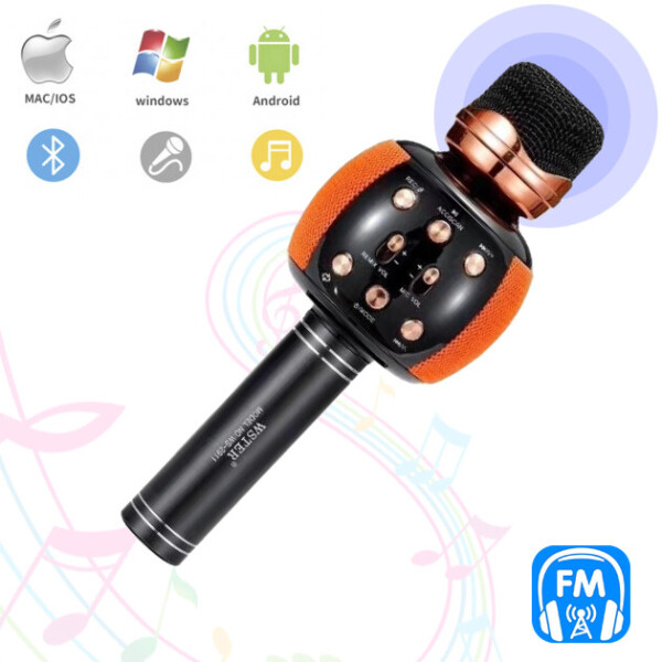

Караоке микрофон с колонкой и FM радио беспроводной вокальный портативный Bluetooth Wster Karaoke WS-2911 Золотой