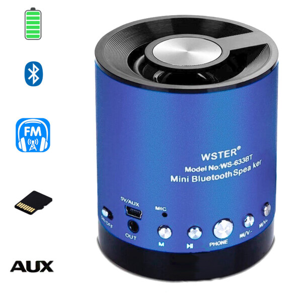 

Портативная Bluetooth колонка WSTER WS-663 BT влагостойкая Синий