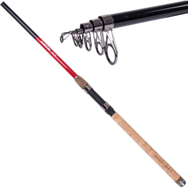 

Удилище телескопическое Mikado Milestone Float 4.20м 10-30гр (WAA845-420)