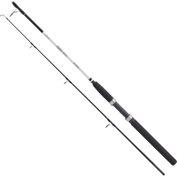 

Спиннинг Balzer Modul Xenia Spin 1,80м. 10-40гр. (11605 180)