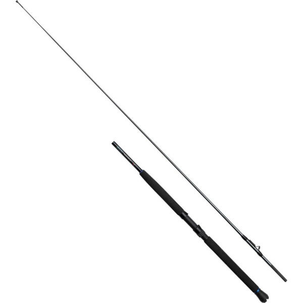 

Лодочное удилище DAM Salt-X Inliner Boat 2.10м 2сек.50LB (55920)