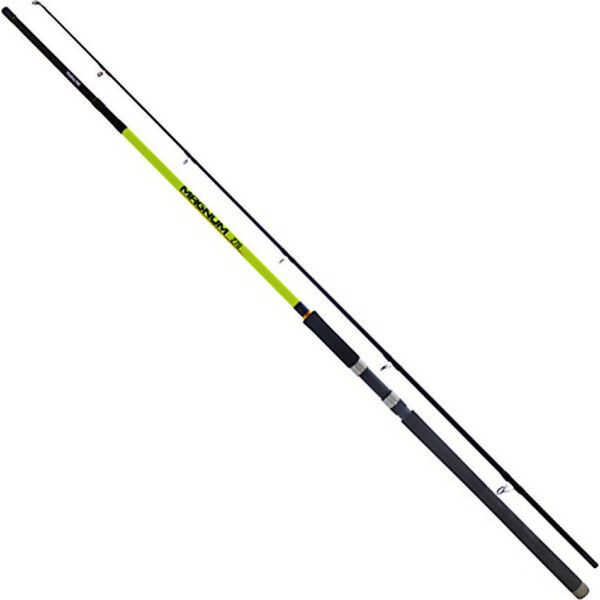 

Спиннинг Fishing Roi Magnum 3.00м 60-180гр (24-05-300)