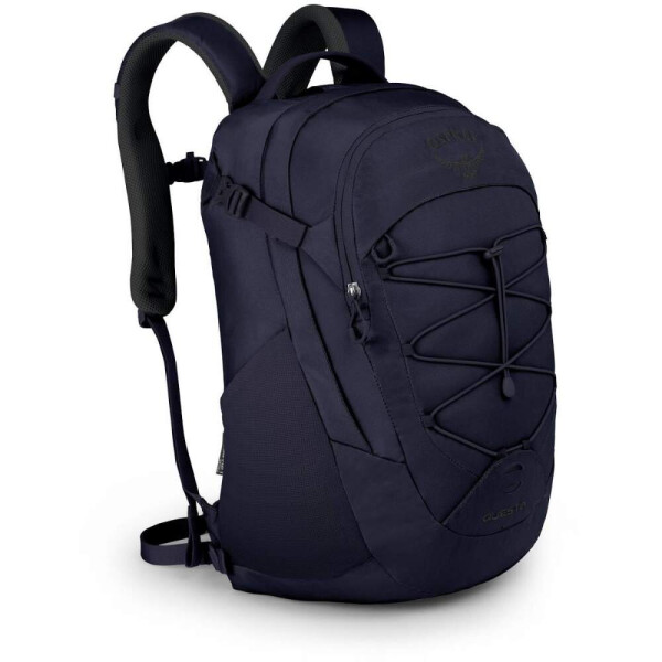 

Рюкзак Osprey Questa Фиолетовый