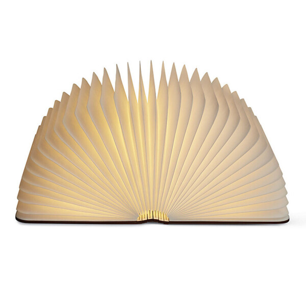 

LED лампа Rege Moudal В виде книги USB 10x8x2.5cm Светлый (1005-108-01)