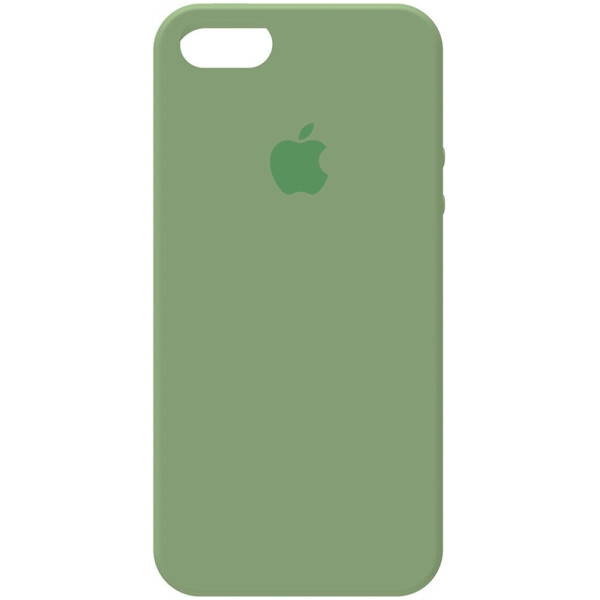 

TOTO Silicone Case Apple iPhone 5/5s/SE Spearmint