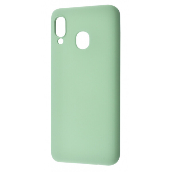 

TPU чехол WAVE Colorful для Samsung Galaxy A20 / A30 (Зеленый / Mint gum) (784108)