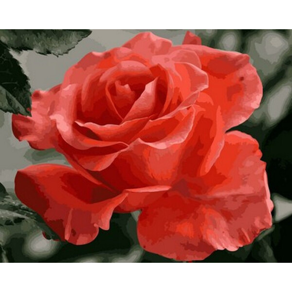 

Картина по номерам Mariposa Коралловая роза (MR-Q2158) 40 х 50 см (176084)