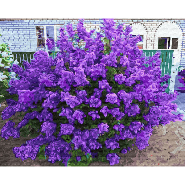 

Картина по номерам (BK-GX3347) Сирень у дома, 40 х 50 см, Brushme