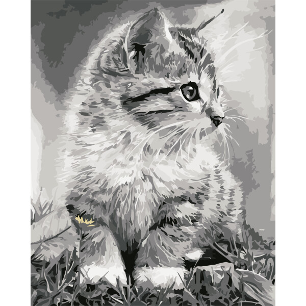 

Картина по номерам (AS0550) Серое чудо, 40 х 50 см, ArtStory
