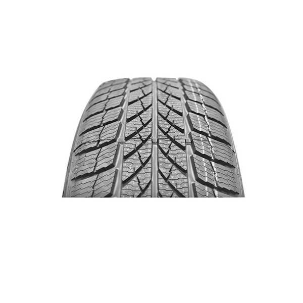 

Paxaro INVERNO 195/55 R16 87H
