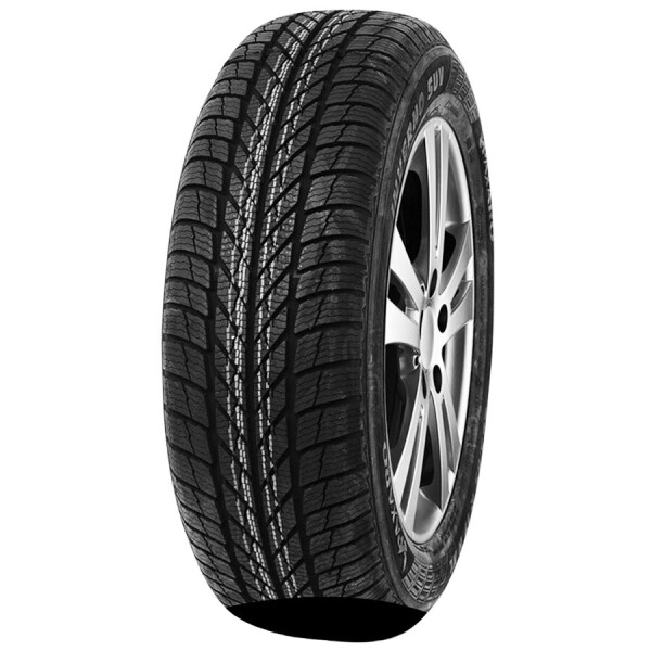 

Paxaro INVERNO SUV 235/55 R18 104V XL FR