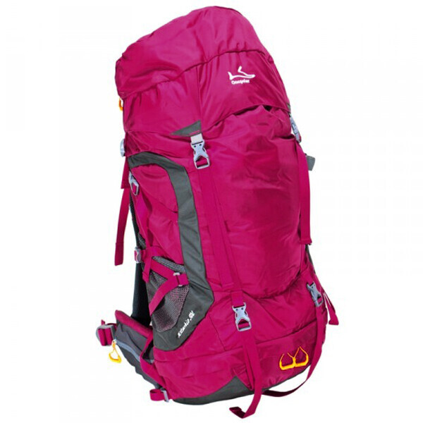 

Рюкзак ONEPOLAR W1636 туристический розовый