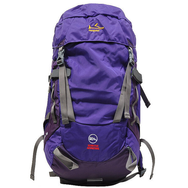 

Рюкзак ONEPOLAR 1703 туристический фиолетовый