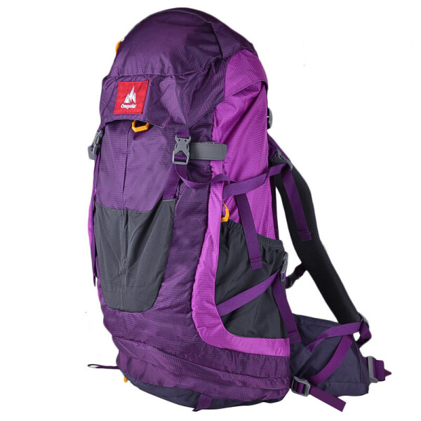 

Рюкзак ONEPOLAR W1638 туристический фиолетовый