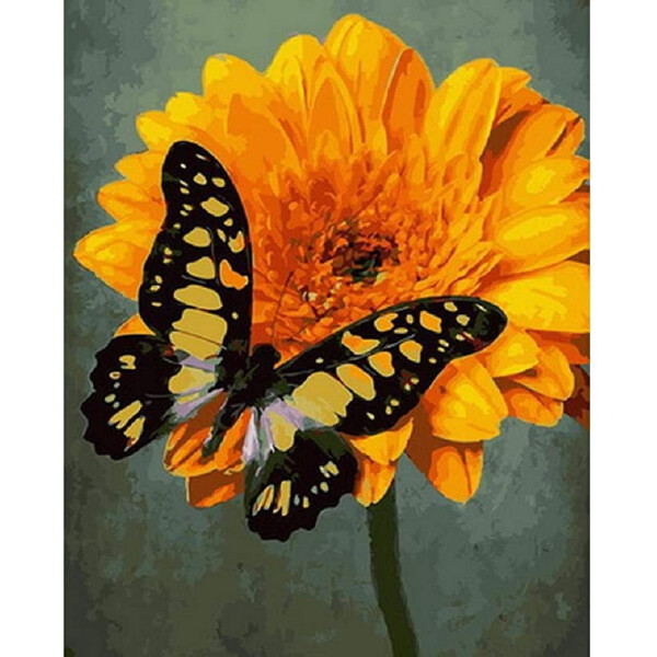 

Картина по номерам. Rainbow Art Жёлтый махаон GX30138-RA