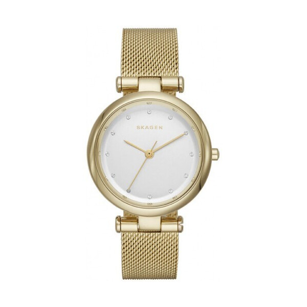 

Часы наручные SKAGEN SKW2486