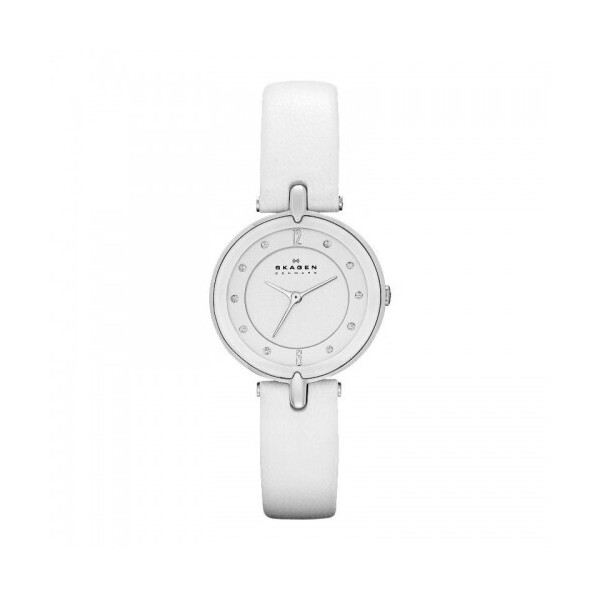 

Часы наручные SKAGEN SKW2012