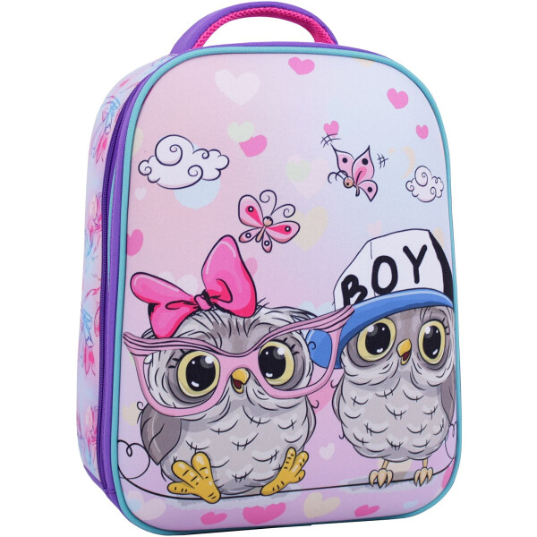 

Рюкзак школьный AIRON Bagland Turtle 17 л. 13466 (фиолетовый 515)