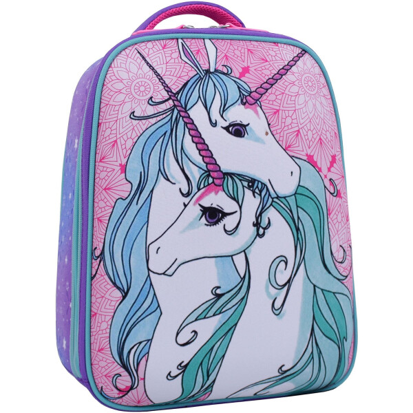 

Рюкзак школьный AIRON Bagland Turtle 17 л. 13466 (фиолетовый 596)