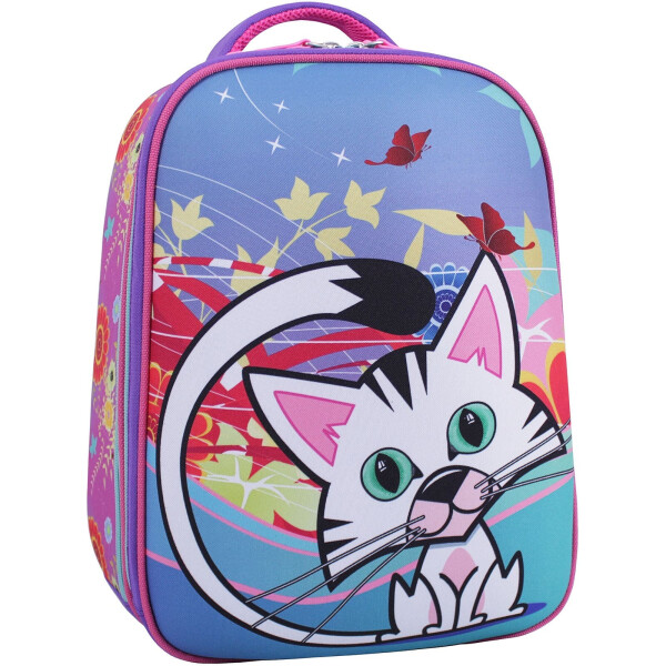 

Рюкзак школьный AIRON Bagland Turtle 17 л.13466 (фиолетовый 502)