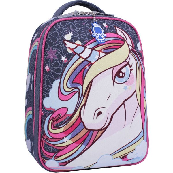 

Рюкзак школьный AIRON Bagland Turtle 17 л. 13466 (серый 511)