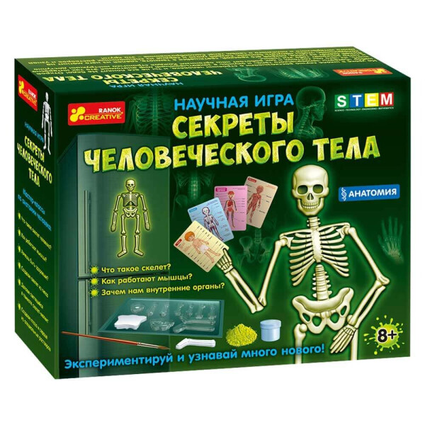 

Набор для экспериментов Ranok-Creative Анатомия Скелет человека