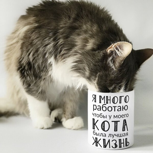 

Оригинальная прикольная чашка на подарок для любителей обладателей кошек и котов (ART_42)