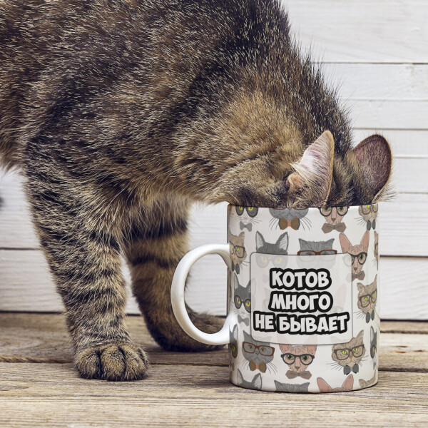 

Оригинальная прикольная чашка на подарок для любителей обладателей кошек и котов (ART_45)