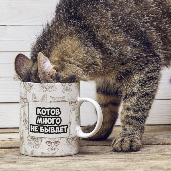 

Оригинальная прикольная чашка на подарок для любителей обладателей кошек и котов (ART_46)