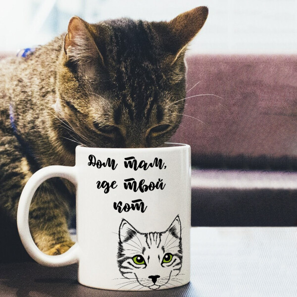 

Оригинальная прикольная чашка на подарок для любителей обладателей кошек и котов (ART_47)