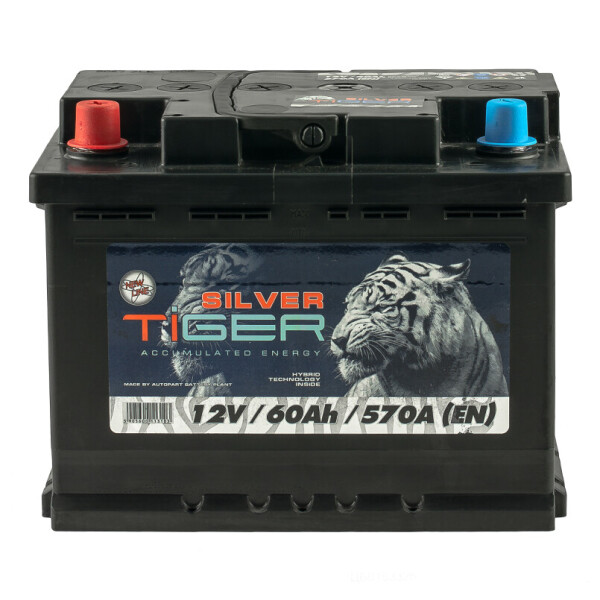 

Акумулятор Tiger 60 Аh/12V Silver [+ -]