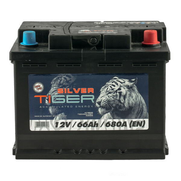 

Акумулятор Tiger 66 Аh/12V Silver [- +]