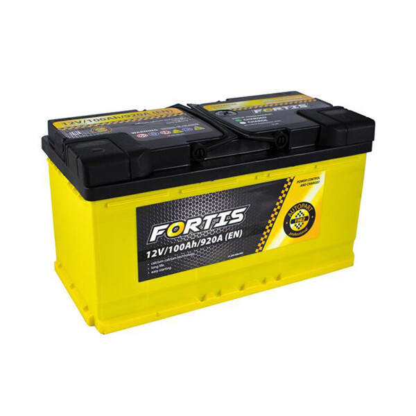 

Акумулятор Fortis 100 Ah/12V [- +]