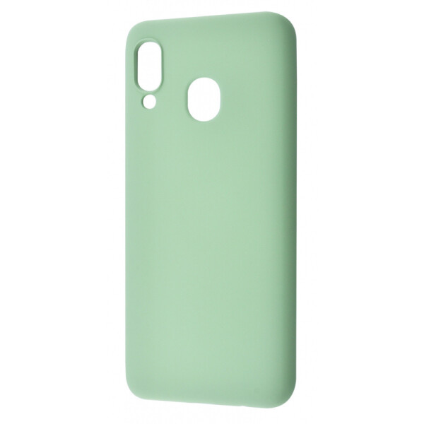 

TPU чехол WAVE Colorful для Samsung Galaxy A20 (A205F) Зеленый / Mint gum (115378)