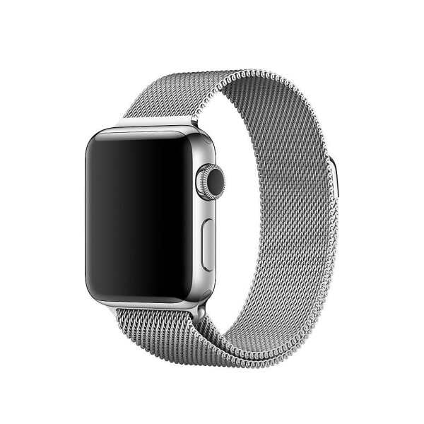 

Ремешок COTEetCI W6 Magnet Band for Apple Watch 38/40mm Silver (WH5202-TS)