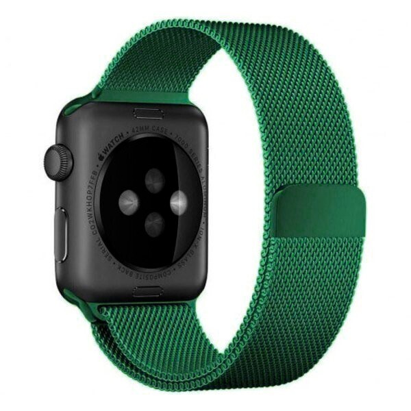 

Ремешок COTEetCI W6 Magnet Band for Apple Watch 42/44mm Green (WH5203-GR)
