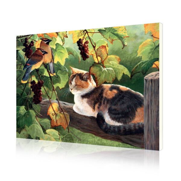 

Картина по номерам Lesko DIY E689 "Трехцветный кот" 40х50 см