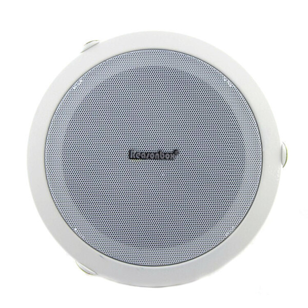 

Потолочный динамик колонка Reasonbox RX-C601
