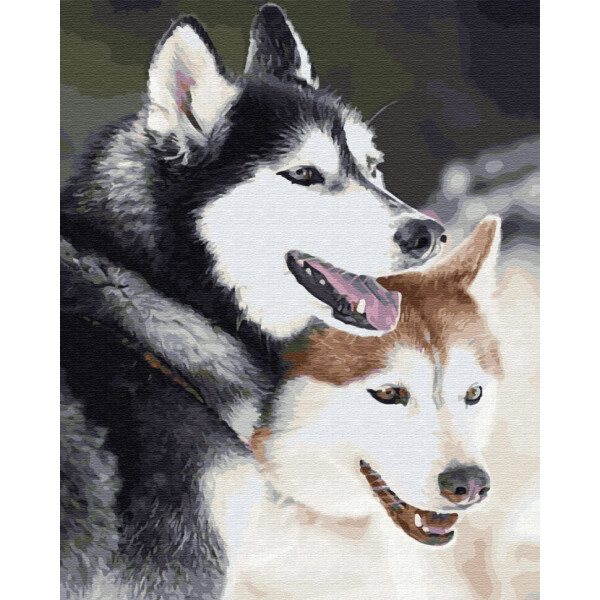 

Картина по номерам. Brushme "Хаски" GX28714