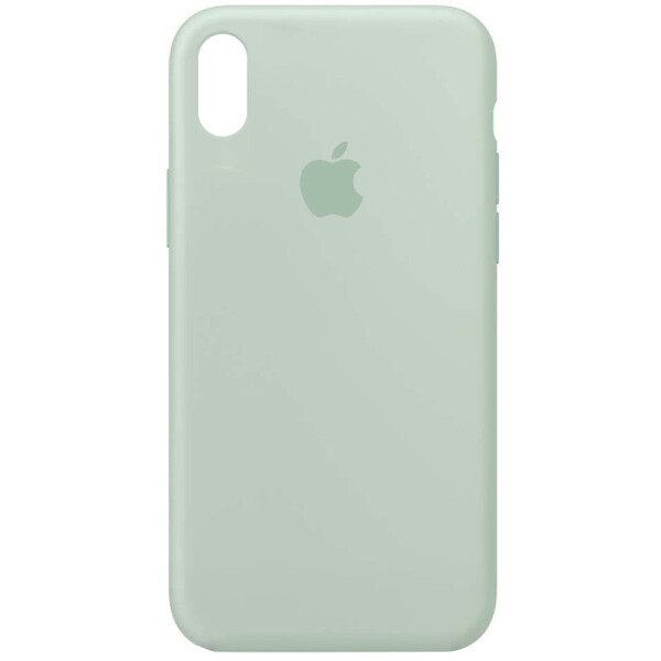 

Чехол Silicone Case Full Protective (AA) для Apple iPhone X (5.8") / XS (5.8") Бирюзовый / Beryl (4005845)