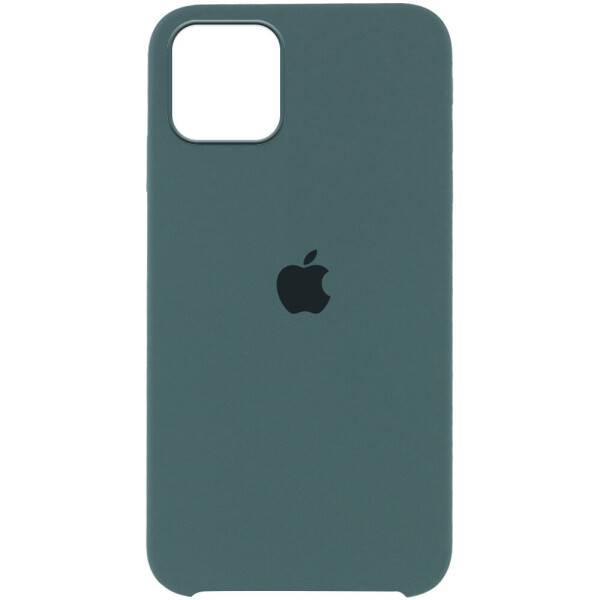 

Чехол Silicone Case Full Protective (AA) для Apple iPhone 12 Pro / 12 (6.1") Зеленый / Cactus (223758)