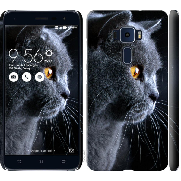 

Чехол на Asus Zenfone 3 ZE552KL Красивый кот (04798)